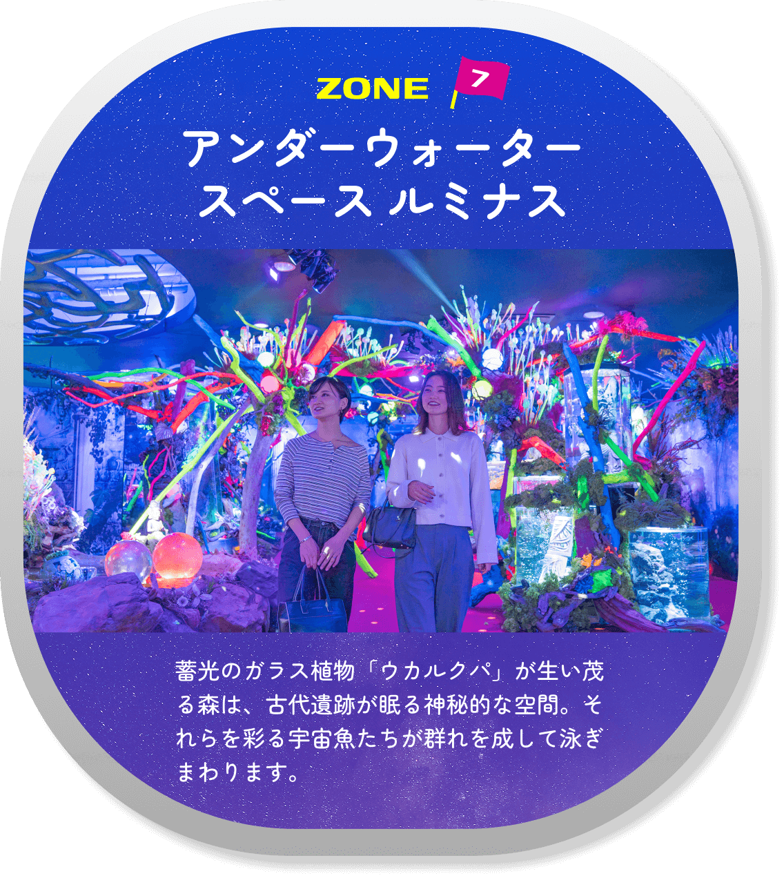 ぎゅな様）オーシャンシアター 海洋楽園 ぎゅな様）オーシャンシアター